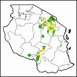 Property Formalization and the Role of Technology in Tanzania