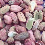 Assessing Mycotoxin Exposure in Pregnant Zimbabwean Women