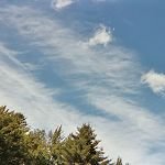 Understanding Clouds for Better Climate Prediction