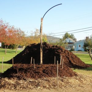 Bioenergy from Dairy Manure