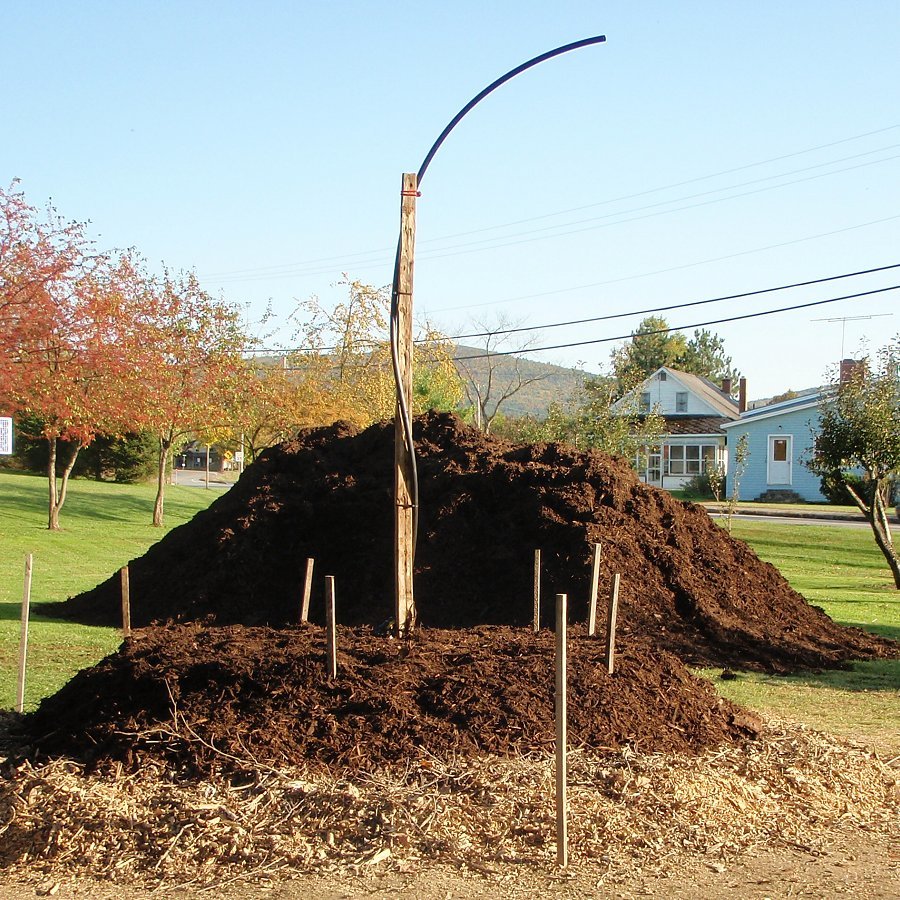 Bioenergy from Dairy Manure