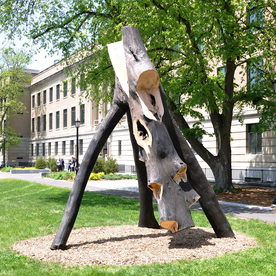 Imagining Energy Transitions