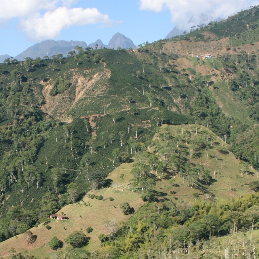 Conservation Incentive Programs for Latin America