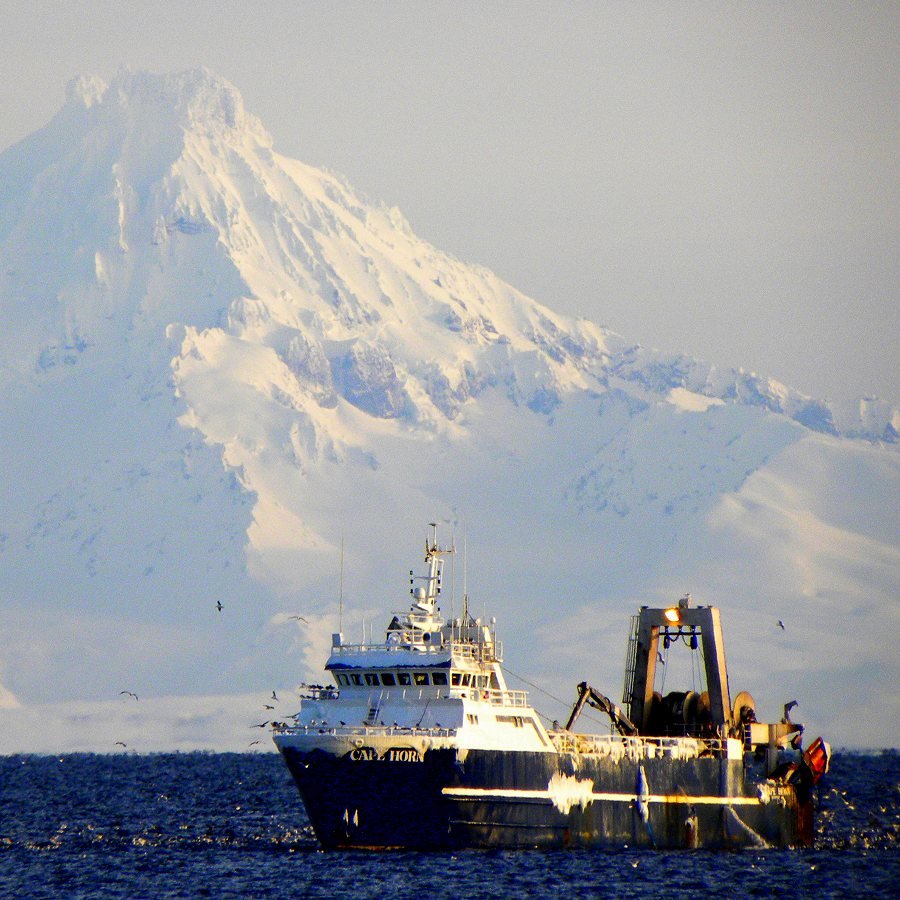 Wild Seafood, Healthy Harvest