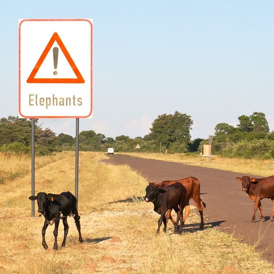 Wildlife-Friendly Beef