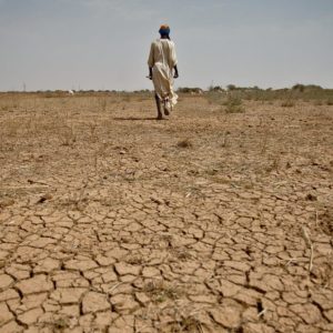 Photosynthesis for Farmers