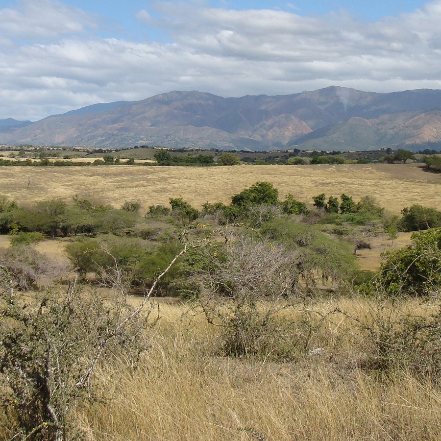 Using Data to Boost Drought Resilience in the Caribbean
