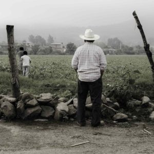 Stay or Go? How Environment Affects Migration in Mexico