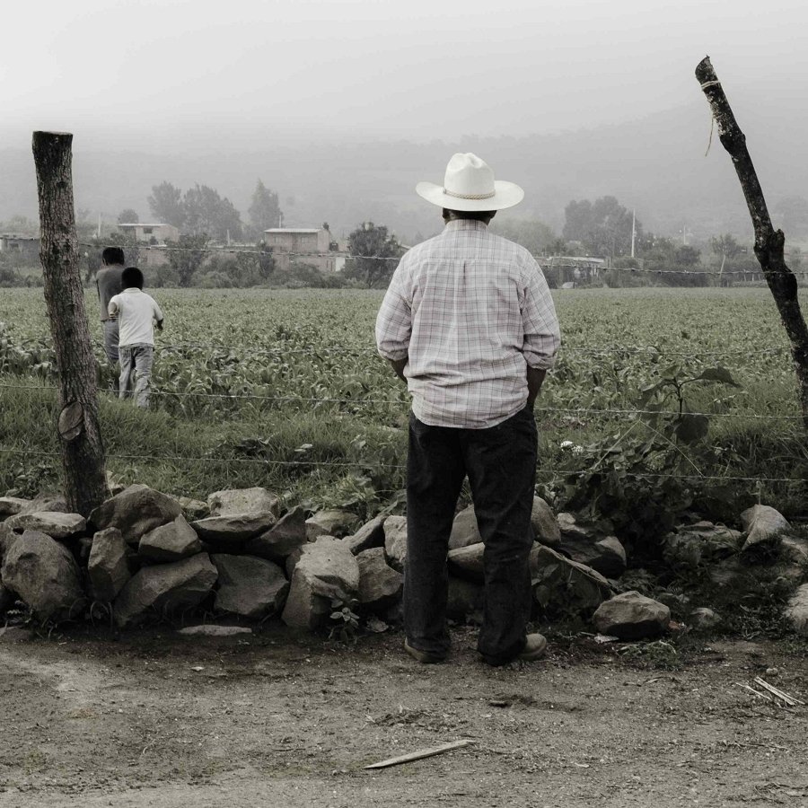 Stay or Go? How Environment Affects Migration in Mexico