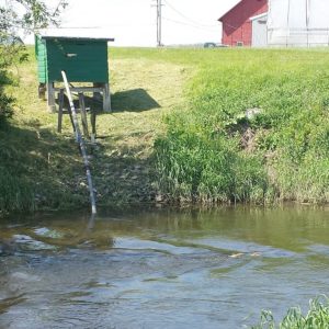 Making Farm-to-Fork Food Safety More Sustainable