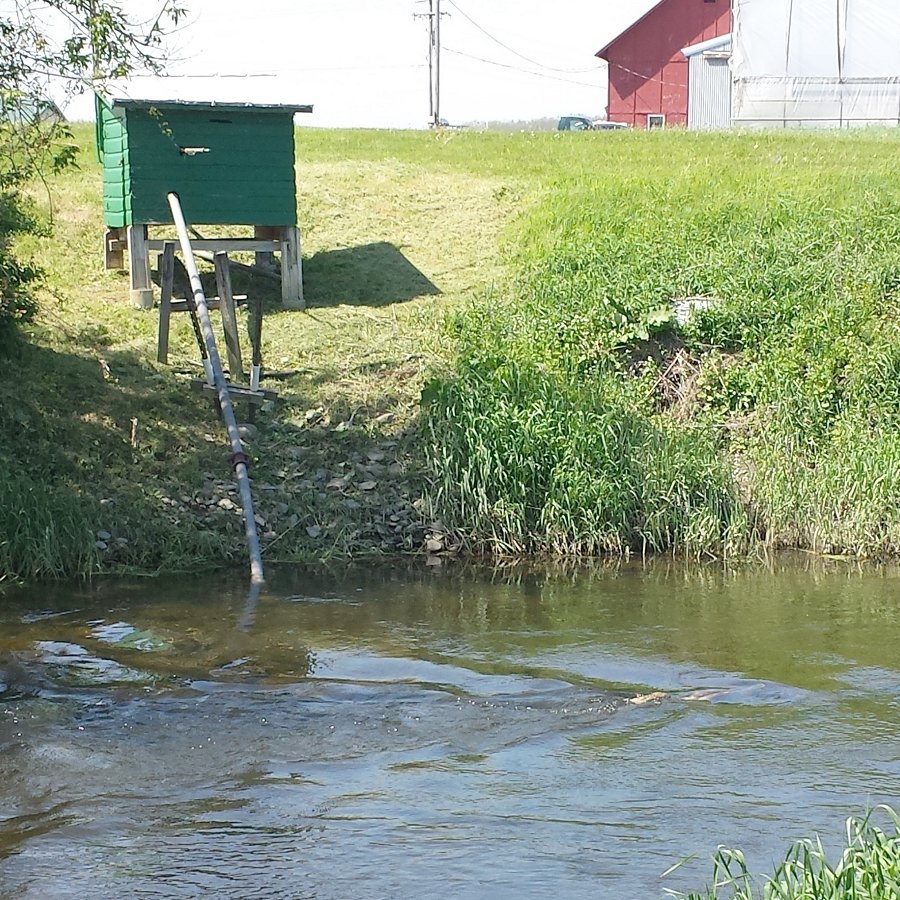 Making Farm-to-Fork Food Safety More Sustainable