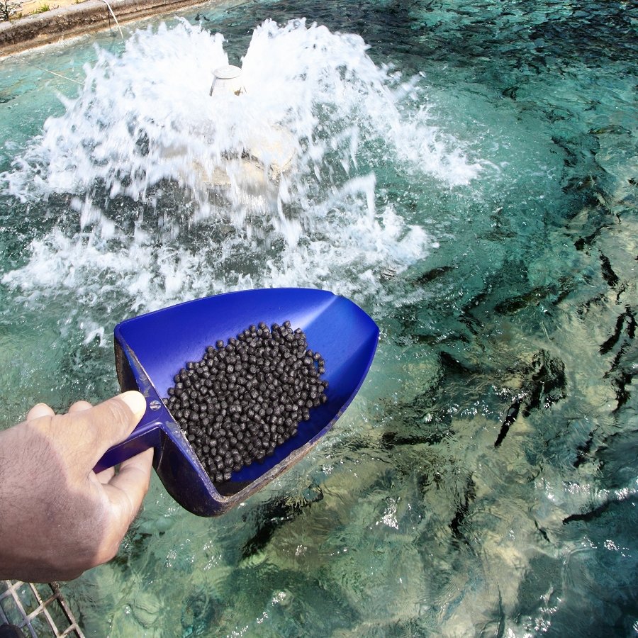 Waste No More: Creating Aquaculture Feed from Seafood Industry Byproducts