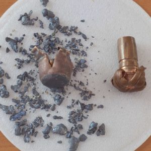 Get the Lead Out: Alternative Ammunition Can Solve a One Health Conundrum