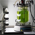 Algal Bioreactors for Biofuel Production