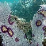 Forecasting Disease and Economic Consequences of Climate Change