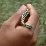 Social Networks for Biological Inventories and Information