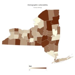 Reopening New York: Data Needs of Regional and County Health Planners