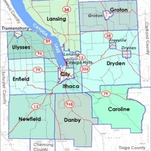 Mapping the Flow and Efficacy of COVID-19-related Information in Tompkins County