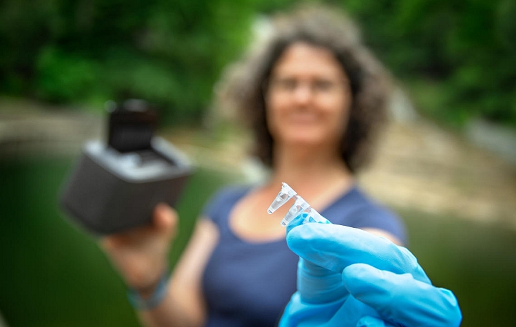 Speedy Test For Bacteria In Beach Water Cornell Atkinson Center For