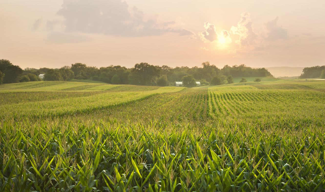 midwestern farm