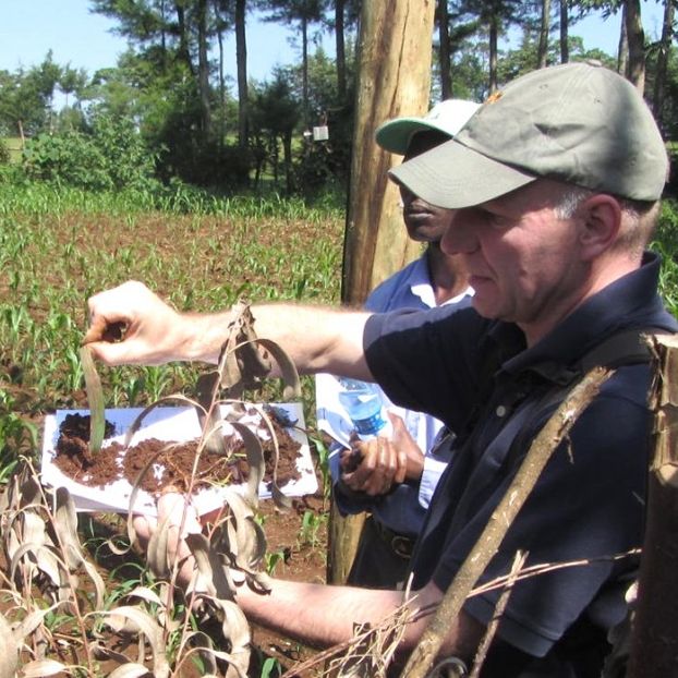 Johannes Lehmann inspects soil