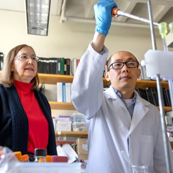 Scientists Resurrect Ancient Enzymes to Improve Photosynthesis ...
