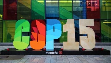 Installation at COP15 Entrance