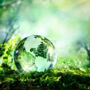 Illustration of green globe among leaves and moss