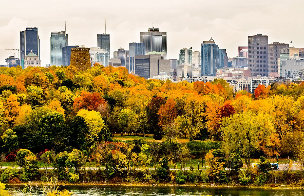 Downtown Montreal skyscrapers and trees in autumn