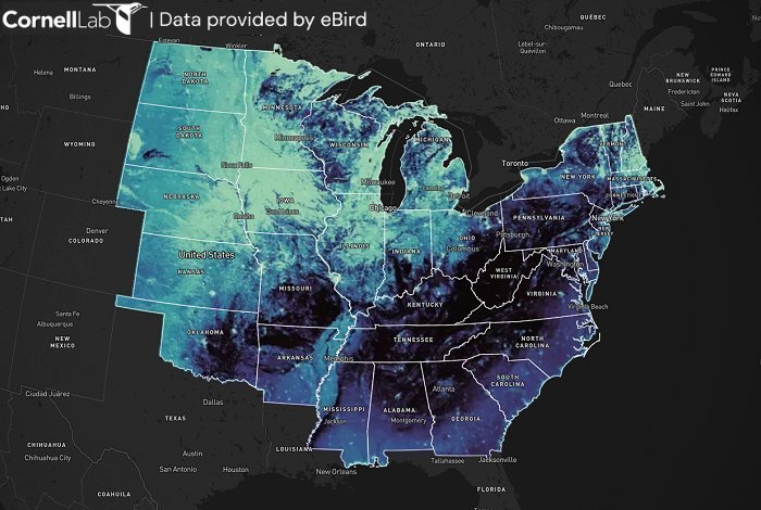 Predicted Wild Bee Richness Map
