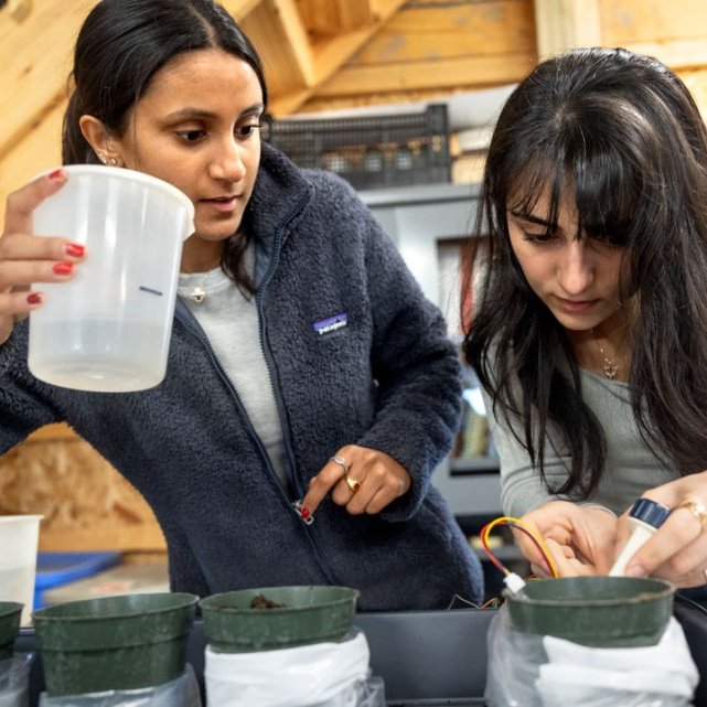 Cornell Engineering students Veda Balte '24 and Nadia Barakatain '24 designed a microchip sensor system and online interface that allow gardeners to determine the right ratio of urine and water to boost the health of their plants and compost.