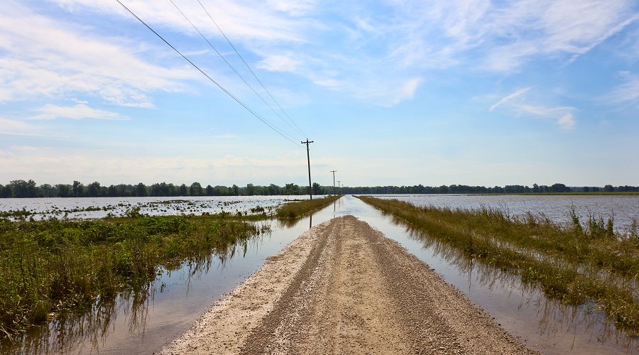 iStock: A rural road leads into flooded fields along the Mississippi River