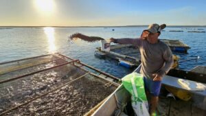 An aquaculturist feeds his fish in Palmas, Tocantins, Brazil.