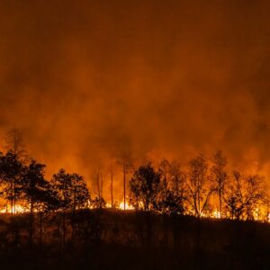 Forest fire and smoke (iStock)