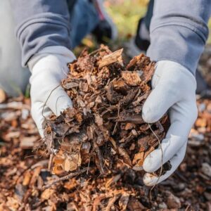 Gloved hands lifting leaf litter and twigs