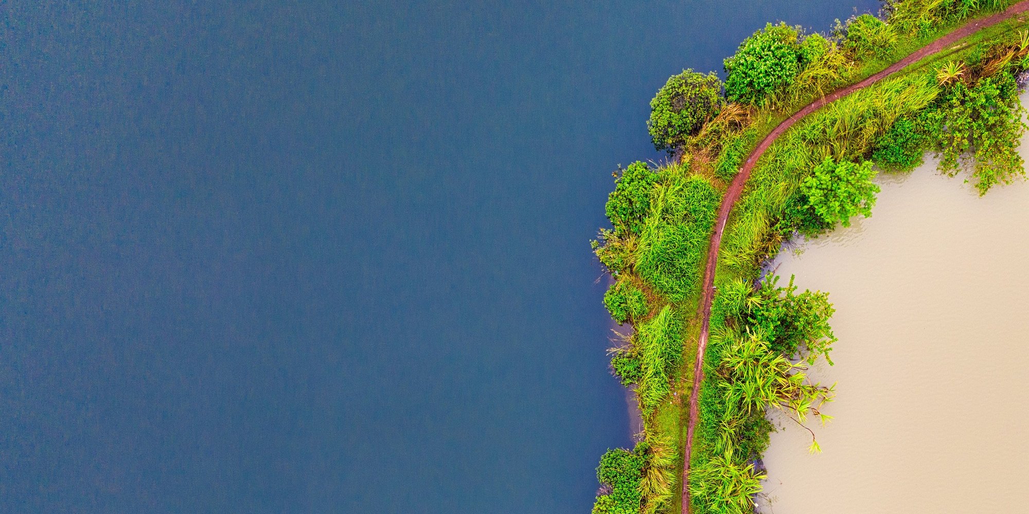 a narrow strip of forest and trail separates sand from blue ocean