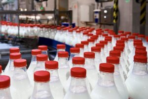 Row of bottles with pasteurized milk closed by red caps on conveyor of production line (iStock)