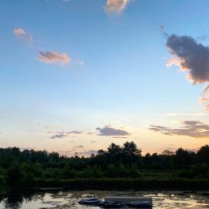 Pond plant corrals at the Cornell Experimental Pond Facility. (credit: Meredith Theus)