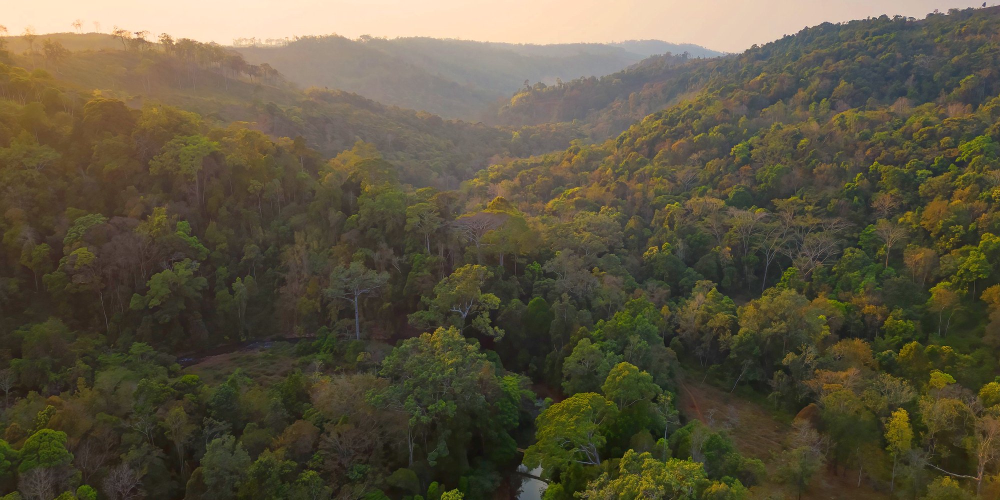 Sunset in Mondulkiri Project forest, Saen Monorom (Mondulkiri), Cambodia (iStock)