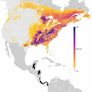Migratory bird map