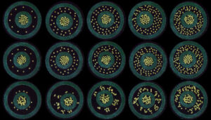 photograph of microbots