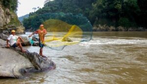 Fisherman casts net into a river