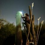 Kirsten Keleher inspecting a saguaro cactus at night
