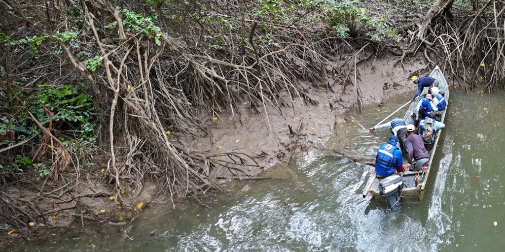 Students working with Todd Cowen and others test device they built to detect methane emissions in waterways near mangroves