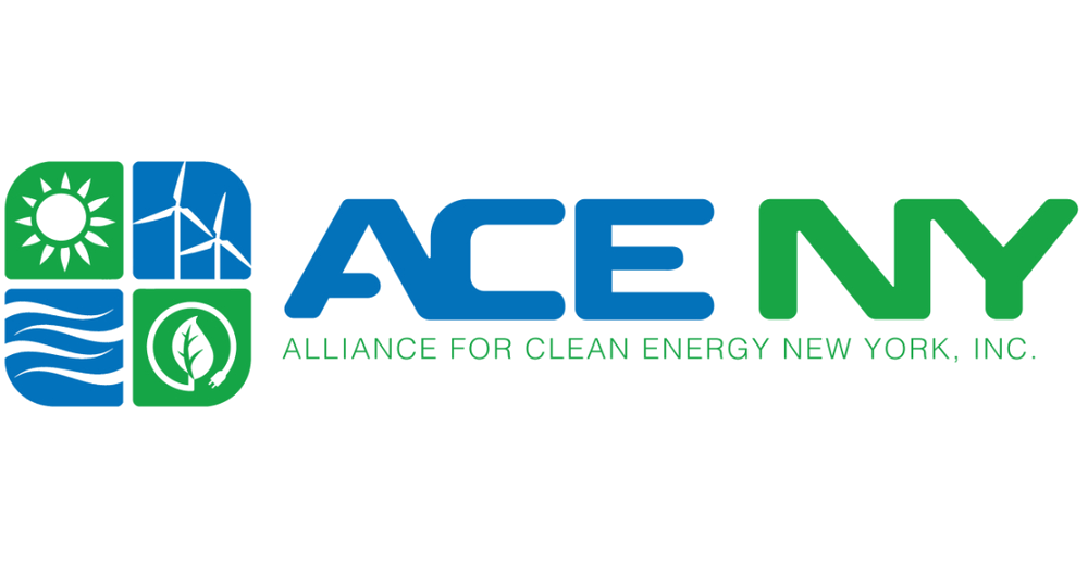 ACE-NY logo