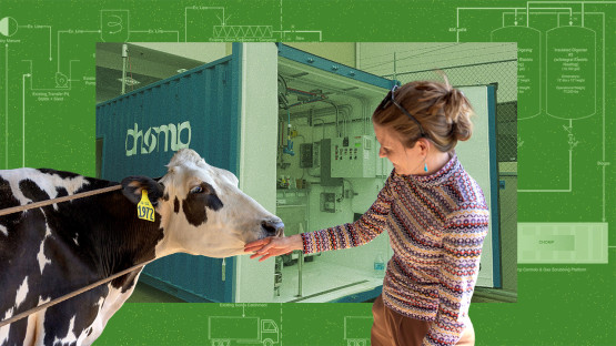 A photo of Lauren Ray is shown interacting with a cow in front of an image of the digester and a schematic diagram in the background