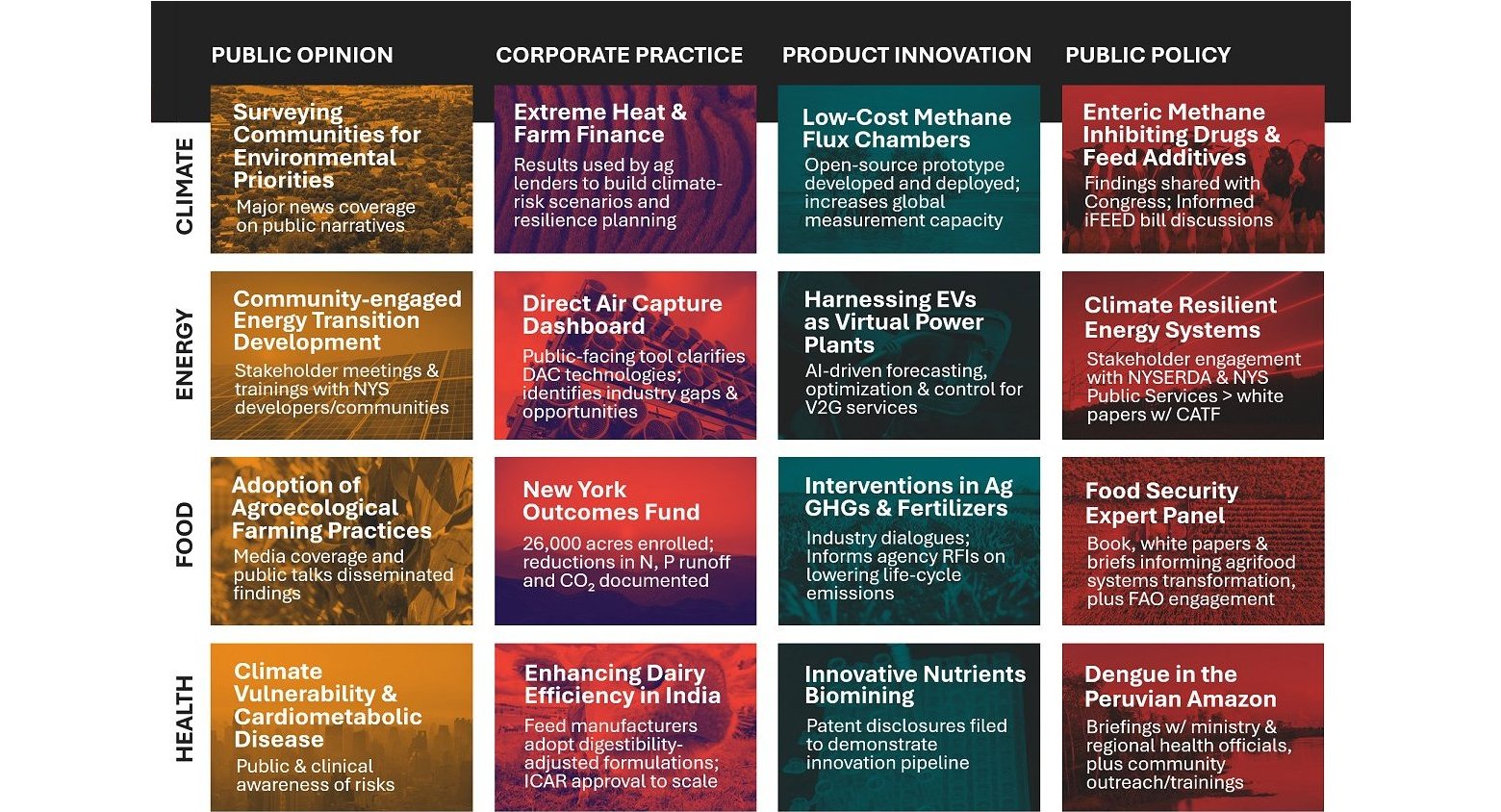 This image shows a grid of recent projects that demonstrate our impact.