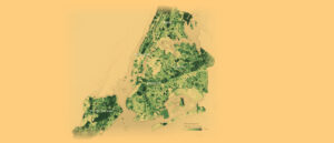 A map of NYC boroughs (excluding Manhattan) depicting % of canopy coverage